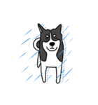 黒犬の生活 第1弾（個別スタンプ：16）