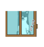 黒犬の生活 第1弾（個別スタンプ：17）