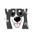 黒犬の生活 第1弾（個別スタンプ：19）