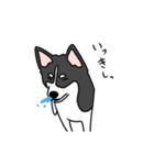 黒犬の生活 第1弾（個別スタンプ：20）