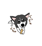 黒犬の生活 第1弾（個別スタンプ：21）