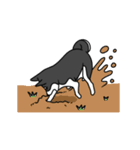 黒犬の生活 第1弾（個別スタンプ：22）