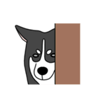 黒犬の生活 第1弾（個別スタンプ：23）