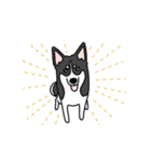 黒犬の生活 第1弾（個別スタンプ：24）