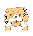 毎日、きな吉。（個別スタンプ：5）