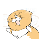 毎日、きな吉。（個別スタンプ：8）