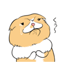 毎日、きな吉。（個別スタンプ：11）