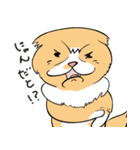 毎日、きな吉。（個別スタンプ：14）