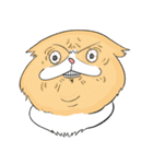 毎日、きな吉。（個別スタンプ：16）