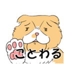 毎日、きな吉。（個別スタンプ：17）