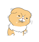 毎日、きな吉。（個別スタンプ：25）