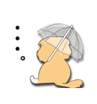毎日、きな吉。（個別スタンプ：32）
