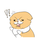 毎日、きな吉。（個別スタンプ：33）