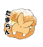 毎日、きな吉。（個別スタンプ：38）