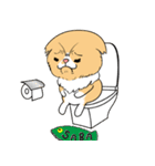 毎日、きな吉。（個別スタンプ：40）