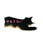 うちのどうぶつたち。（個別スタンプ：4）