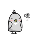 little pigeon（個別スタンプ：2）