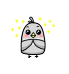 little pigeon（個別スタンプ：5）