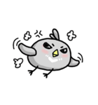 little pigeon（個別スタンプ：9）