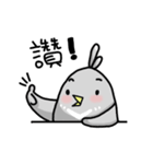 little pigeon（個別スタンプ：13）
