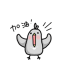 little pigeon（個別スタンプ：15）