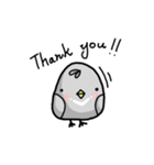 little pigeon（個別スタンプ：16）