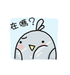 little pigeon（個別スタンプ：19）