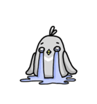 little pigeon（個別スタンプ：24）