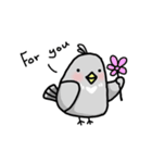 little pigeon（個別スタンプ：26）