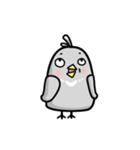 little pigeon（個別スタンプ：27）