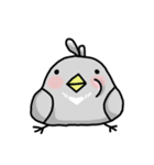 little pigeon（個別スタンプ：34）