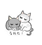 Cats everyday life 2（個別スタンプ：1）