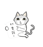 Cats everyday life 2（個別スタンプ：19）