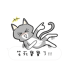 Cats everyday life 2（個別スタンプ：20）