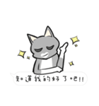 Cats everyday life 2（個別スタンプ：21）