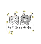 Cats everyday life 2（個別スタンプ：24）