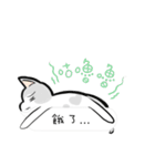Cats everyday life 2（個別スタンプ：27）