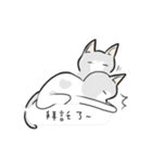 Cats everyday life 2（個別スタンプ：31）
