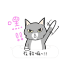 Cats everyday life 2（個別スタンプ：37）