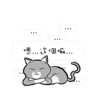 Cats everyday life 2（個別スタンプ：38）