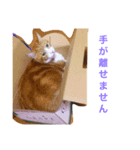 ボマキオ団（猫多め）（個別スタンプ：8）