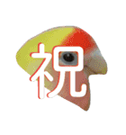 コザクラインコのパリーさん。（個別スタンプ：16）
