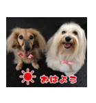 キャロルとシェリーの日常（個別スタンプ：1）