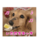 キャロルとシェリーの日常（個別スタンプ：2）