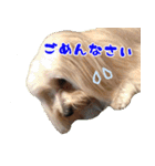 キャロルとシェリーの日常（個別スタンプ：8）