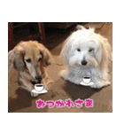 キャロルとシェリーの日常（個別スタンプ：9）