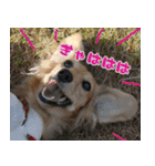 キャロルとシェリーの日常（個別スタンプ：10）