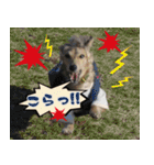 キャロルとシェリーの日常（個別スタンプ：12）