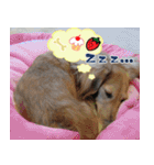 キャロルとシェリーの日常（個別スタンプ：15）