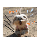 キャロルとシェリーの日常（個別スタンプ：16）